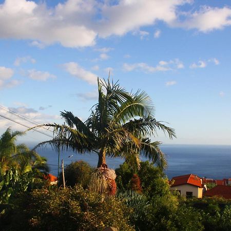 Lugar Dos Louros 2 Apartman Estreito Da Calheta Kültér fotó